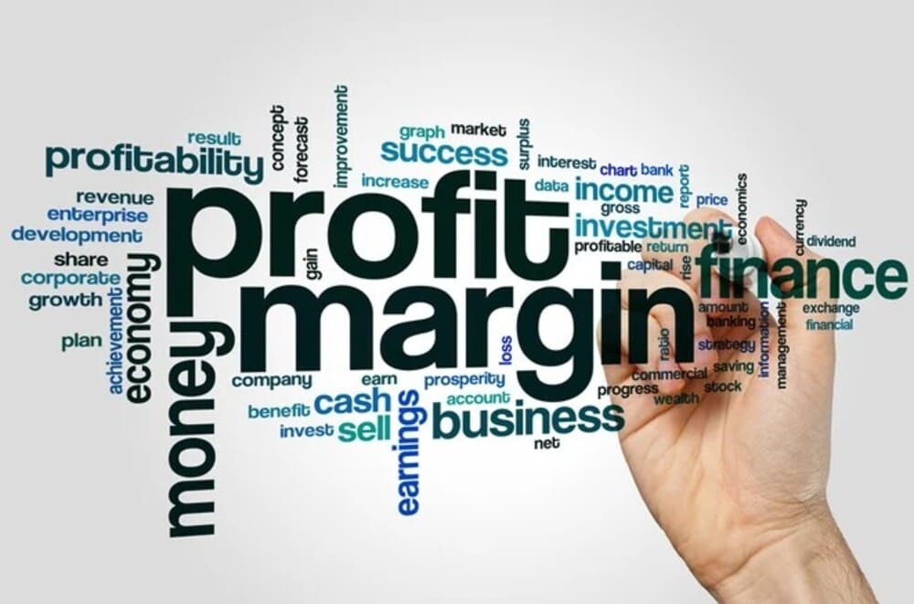 Beyond revenue, good profit margin defines the difference between growth and sustainability
