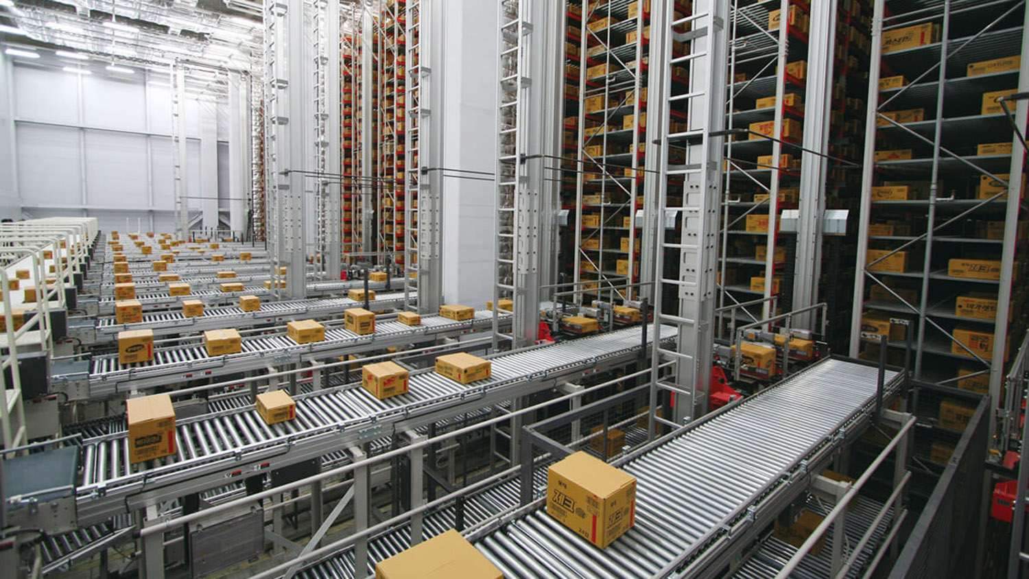 Sorting, Packing and Shipping