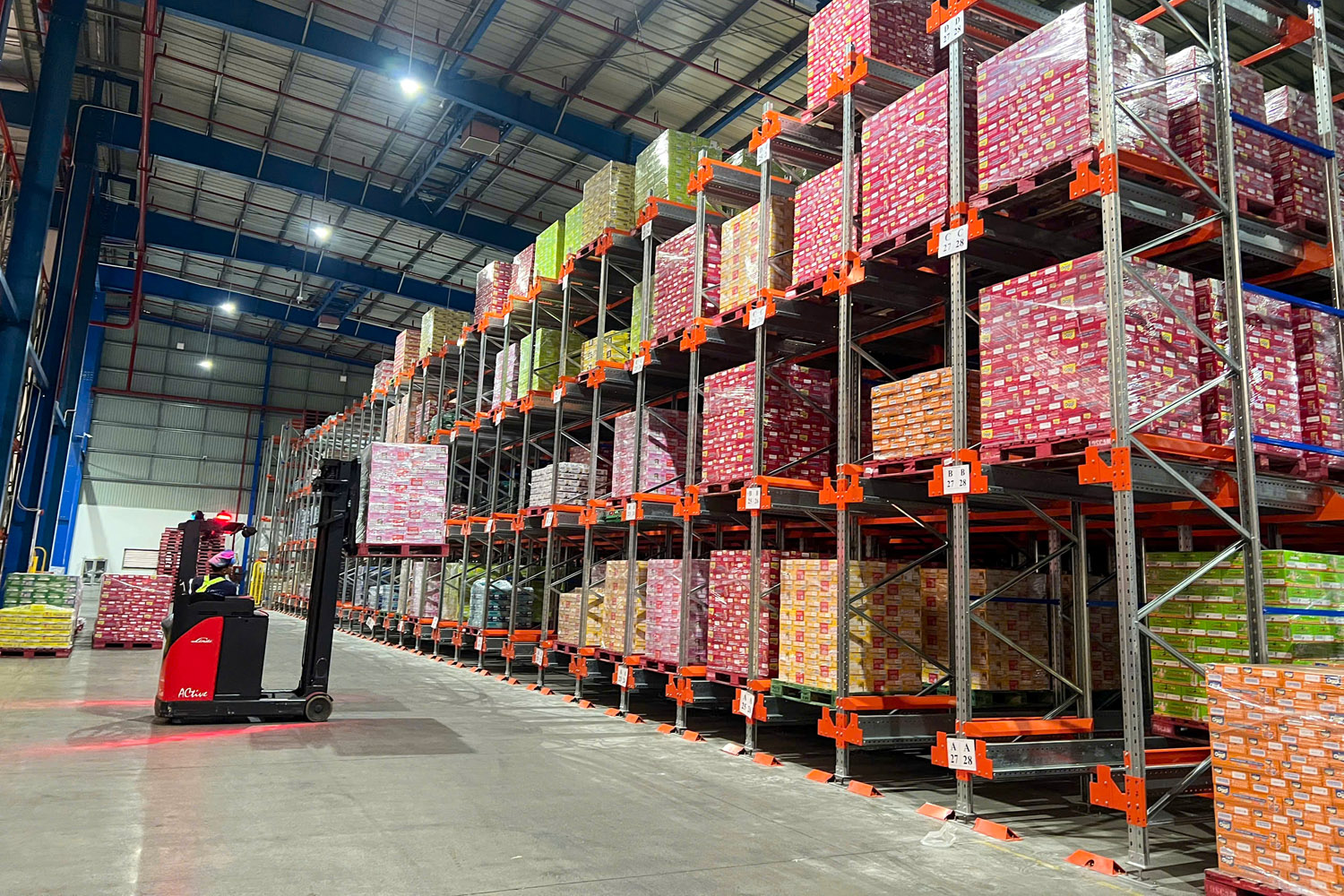 Shuttle Racking System