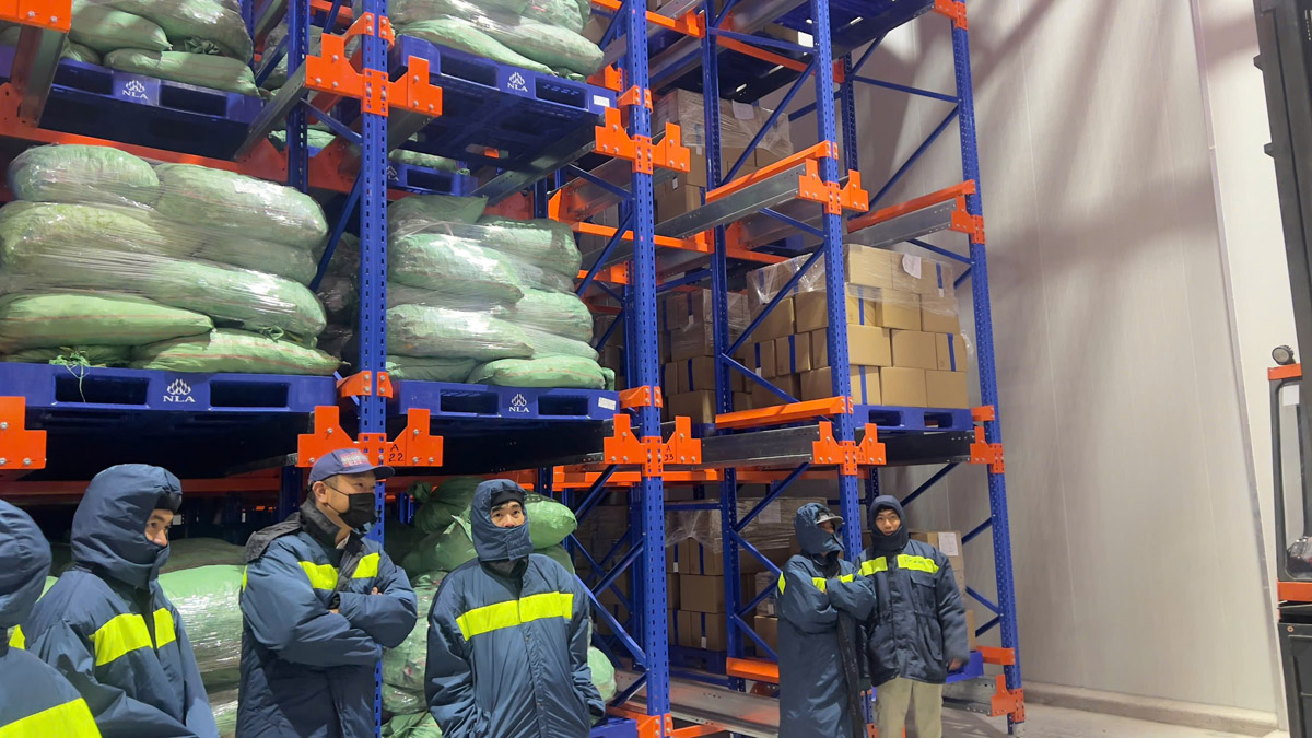 Coolroom pallet racking is a storage system designed to maximise pallet capacity in chilled and freezer environments